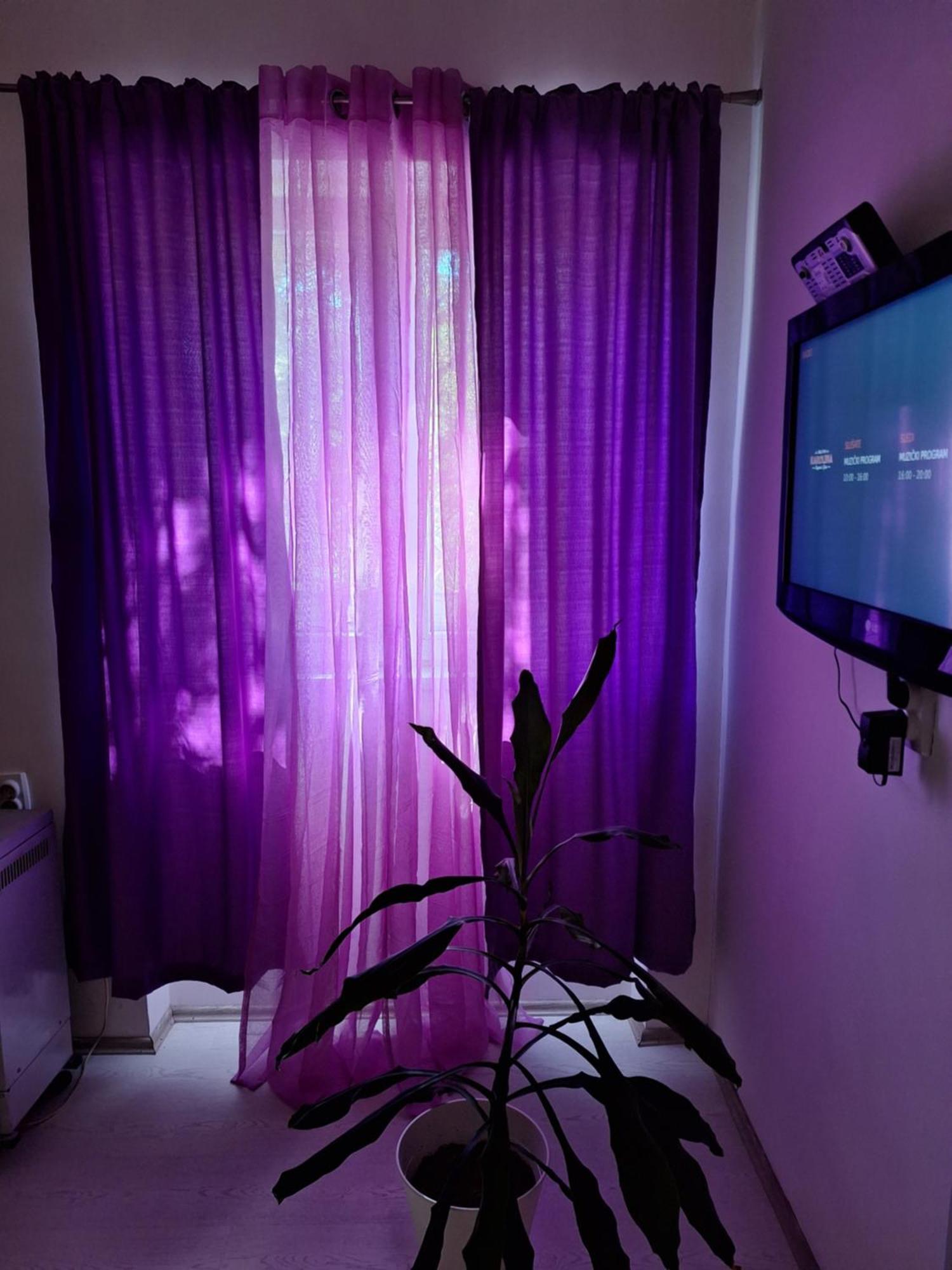 Апартаменты Apartman Maja Белград Экстерьер фото
