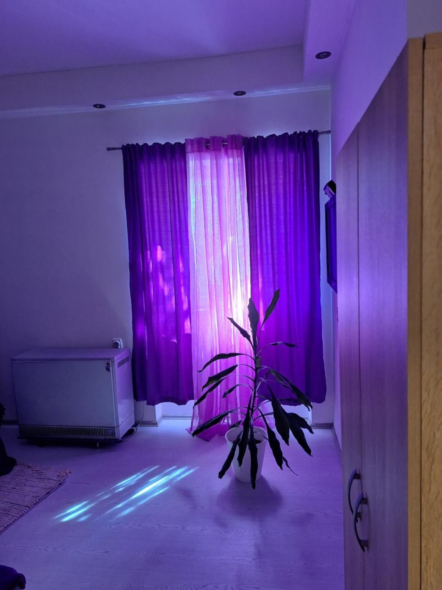 Апартаменты Apartman Maja Белград Экстерьер фото